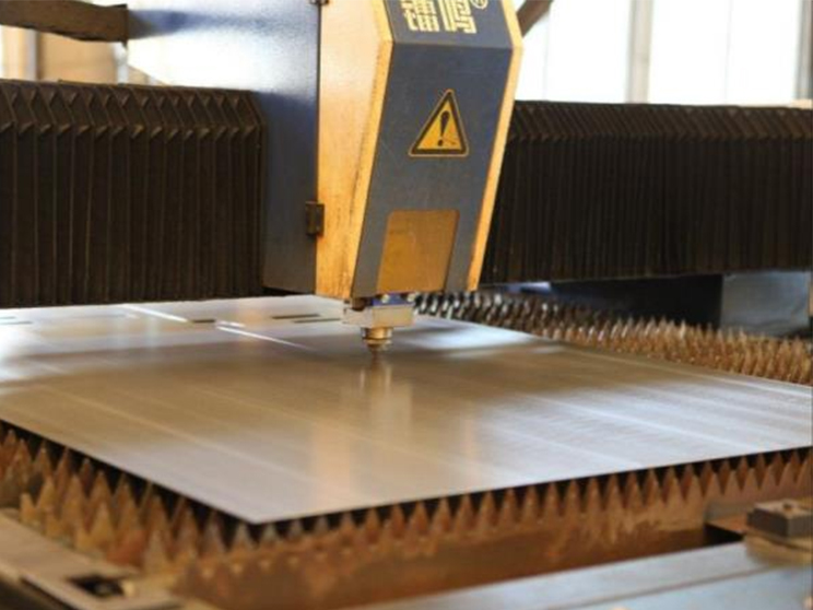 حامل النبات الأسود