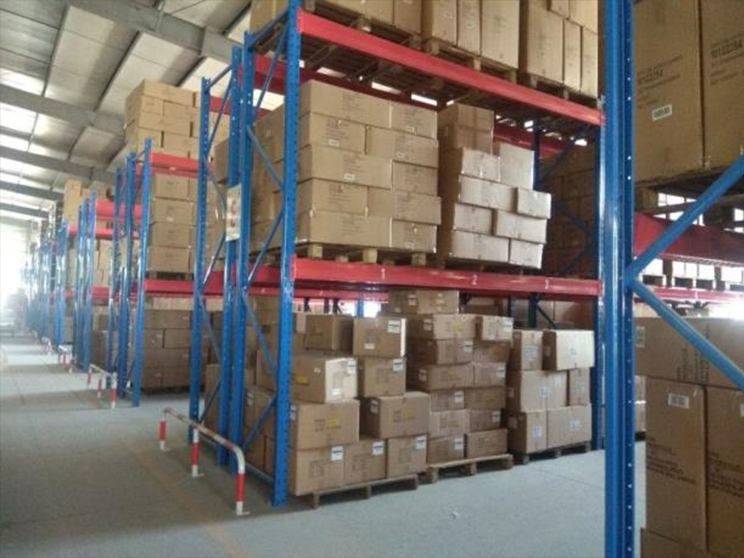 حامل النبات الأسود